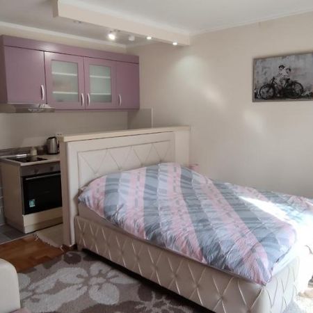Alex 2 Apartman Vrnjačka Banja 外观 照片
