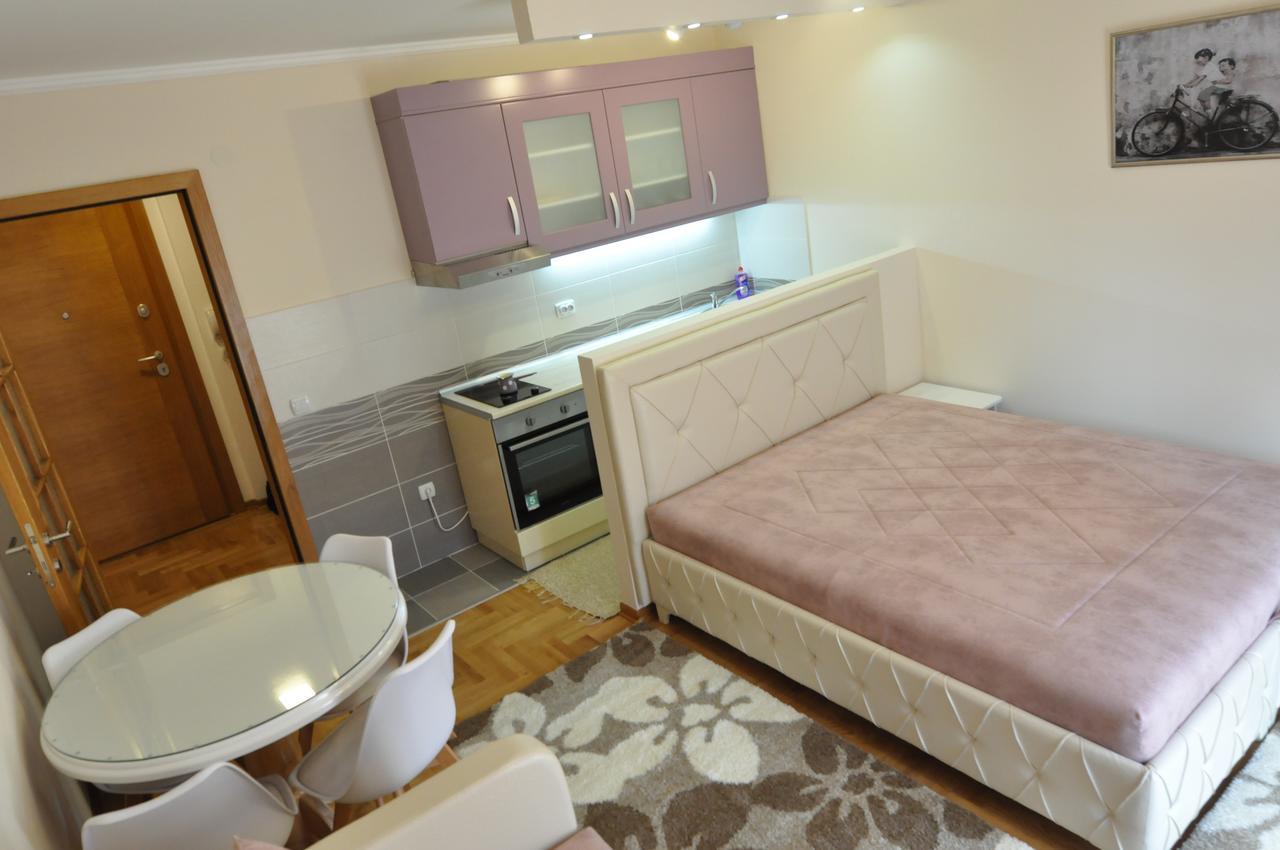 Alex 2 Apartman Vrnjačka Banja 客房 照片