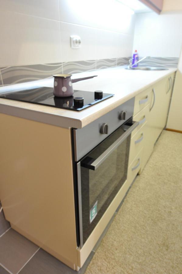 Alex 2 Apartman Vrnjačka Banja 客房 照片