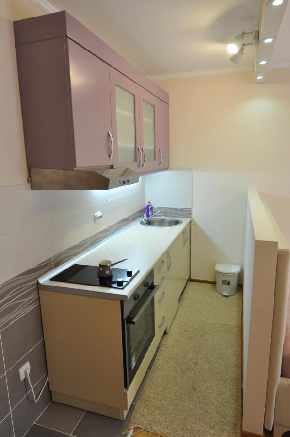 Alex 2 Apartman Vrnjačka Banja 客房 照片